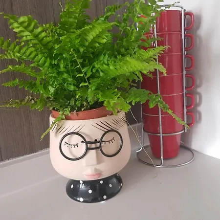 El Balcon De Pilar Zaragoza