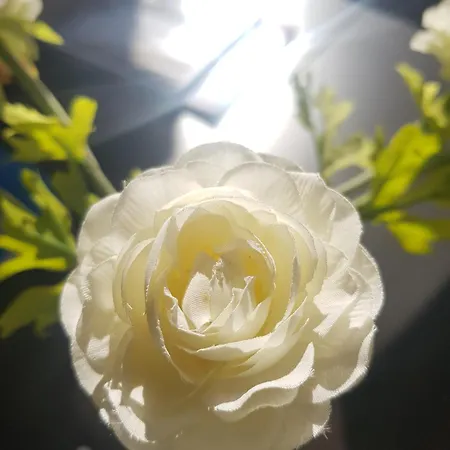 El Balcon De Pilar * Сарагоса