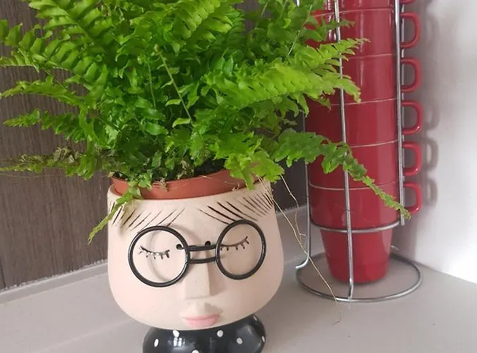 El Balcon De Pilar Zaragoza