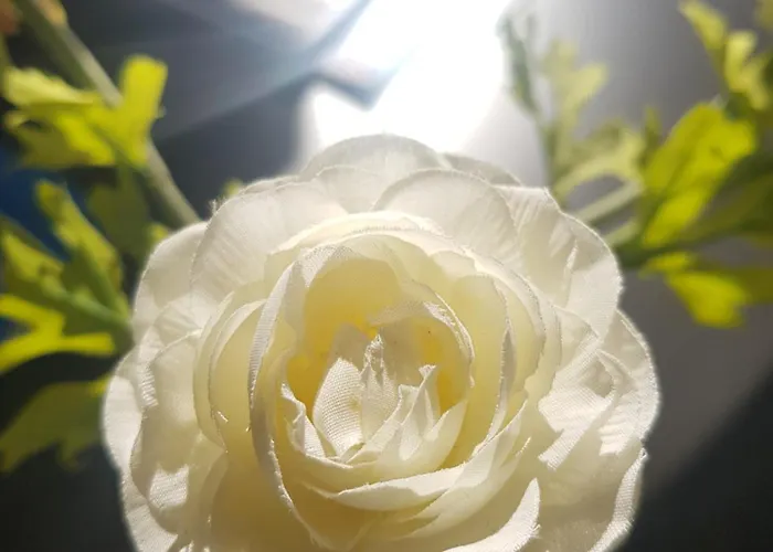 El Balcon De Pilar * Сарагоса